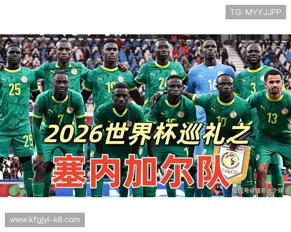 法国与塞内加尔在世界杯中的比分预测及比赛关键因素全面解读
